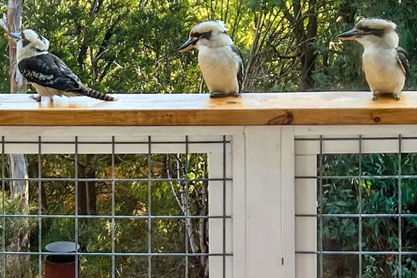 Regular visitors