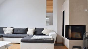 Fernseher