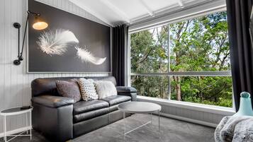 Smart TV, music library, stereo