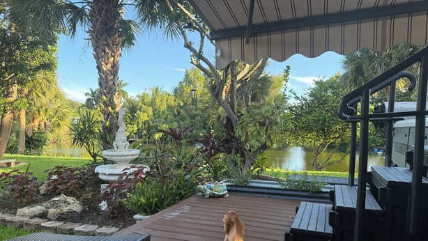 Eine Holzterrasse mit Korbstühlen und Blick auf einen Teich, der von tropischen Pflanzen und Bäumen umgeben ist.