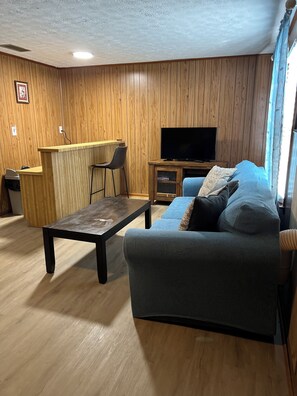 TV connectée, cheminée, livres