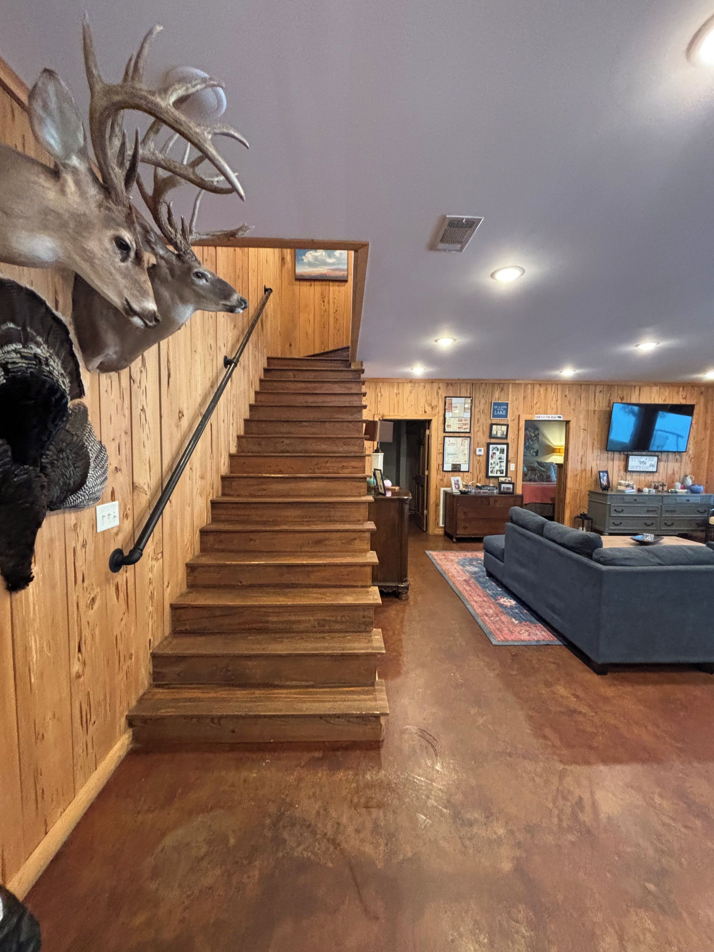 A wooden staircase leading to a living area with a mounted deer head, a television, and a sofa.