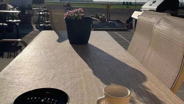 Een tafel met een zwart bord en een mok, een kamerplant, en een uitzicht op een vliegveld op de achtergrond.