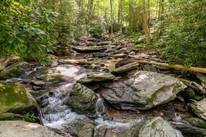 A natural stream flowing over rocks in a forested area.