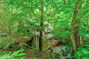 A treehouse with a wooden deck and a metal roof, surrounded by dense forest.
