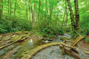 A forested area with a small stream and a wooden chair near the water.