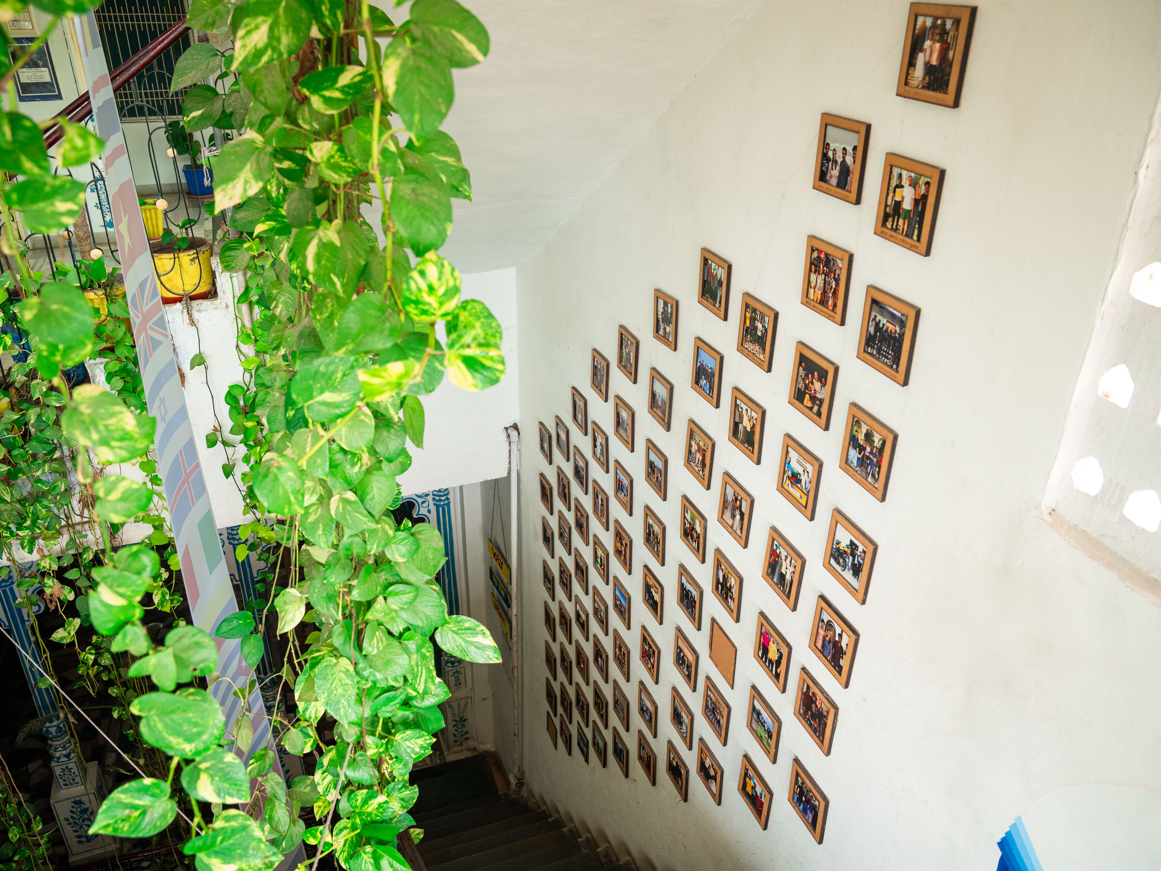 Foto - Dreamyard Udaipur