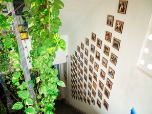 A staircase with a wall of framed photos and green plants. - Dreamyard Udaipur - Hostel (Udaipur)