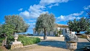 Une villa avec un toit en tuiles, entourée d’oliviers et bordée d’un chemin de gravier.