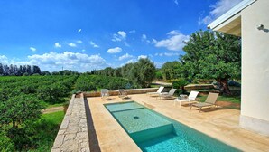 Une piscine entourée de chaises longues, de verdure et d’un vignoble.