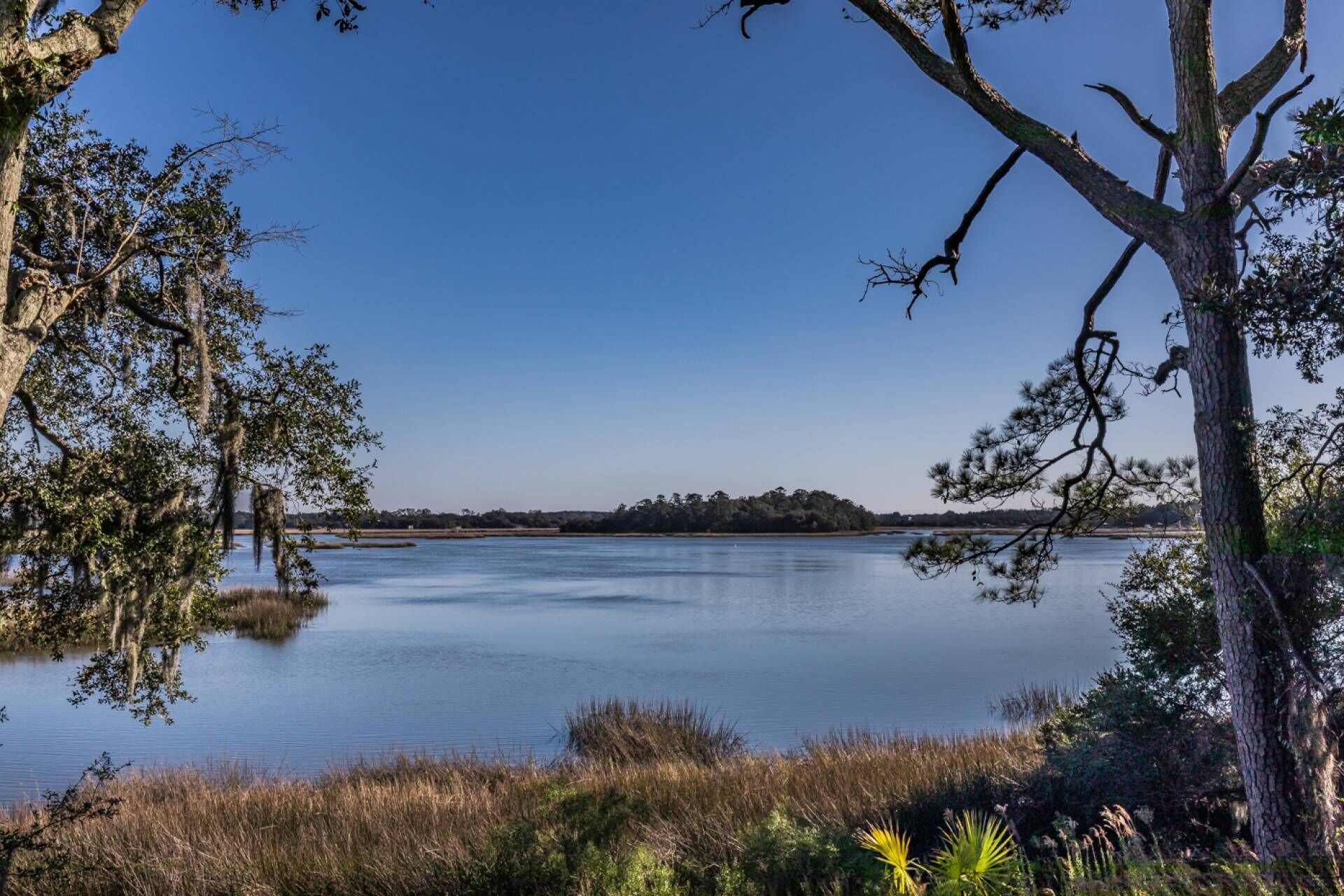 A calm lake with trees and vegetation around.