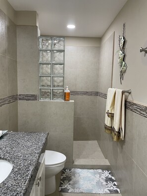 Douche, séchoir à cheveux, serviettes fournies, savon