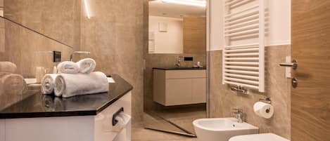 Shower, hair dryer, towels