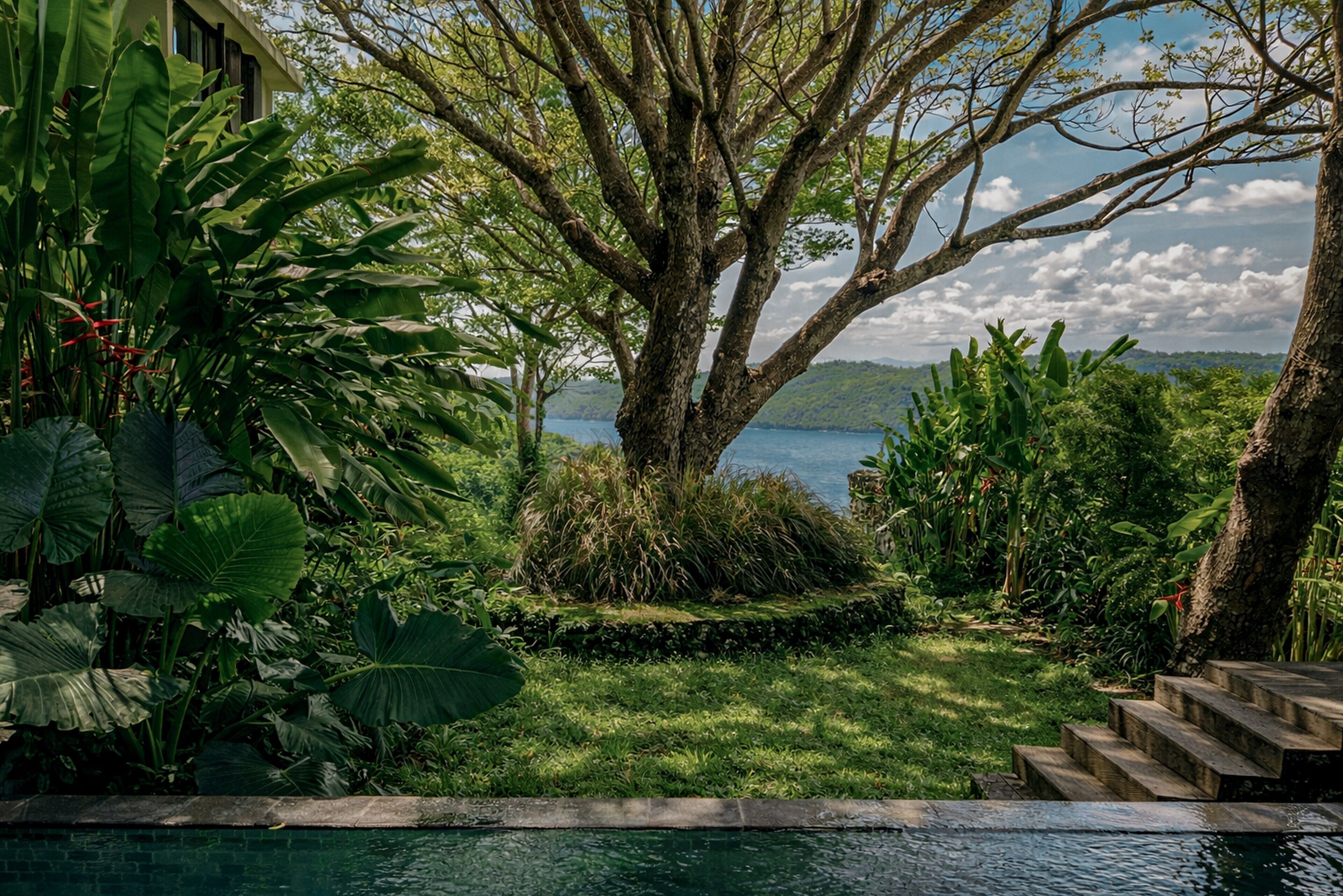 A lush garden with a large tree, a pool, and a view of a lake.