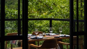 A dining table set for two with wine glasses, plates, and cutlery, set against a backdrop of lush greenery visible through large windows.