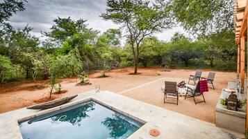 Outdoor pool, sun loungers