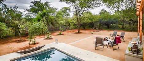 Outdoor pool, pool loungers