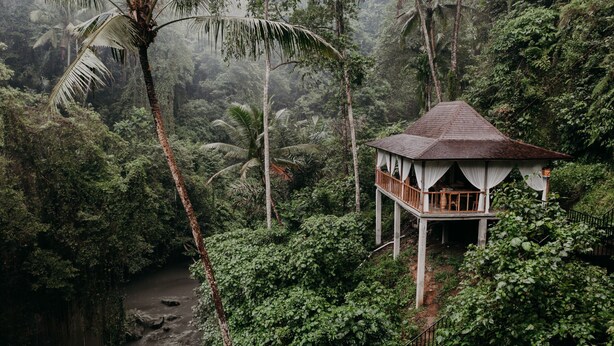 Une structure en bois dotée d’un balcon, entourée d’une végétation tropicale luxuriante et bordée par une rivière.