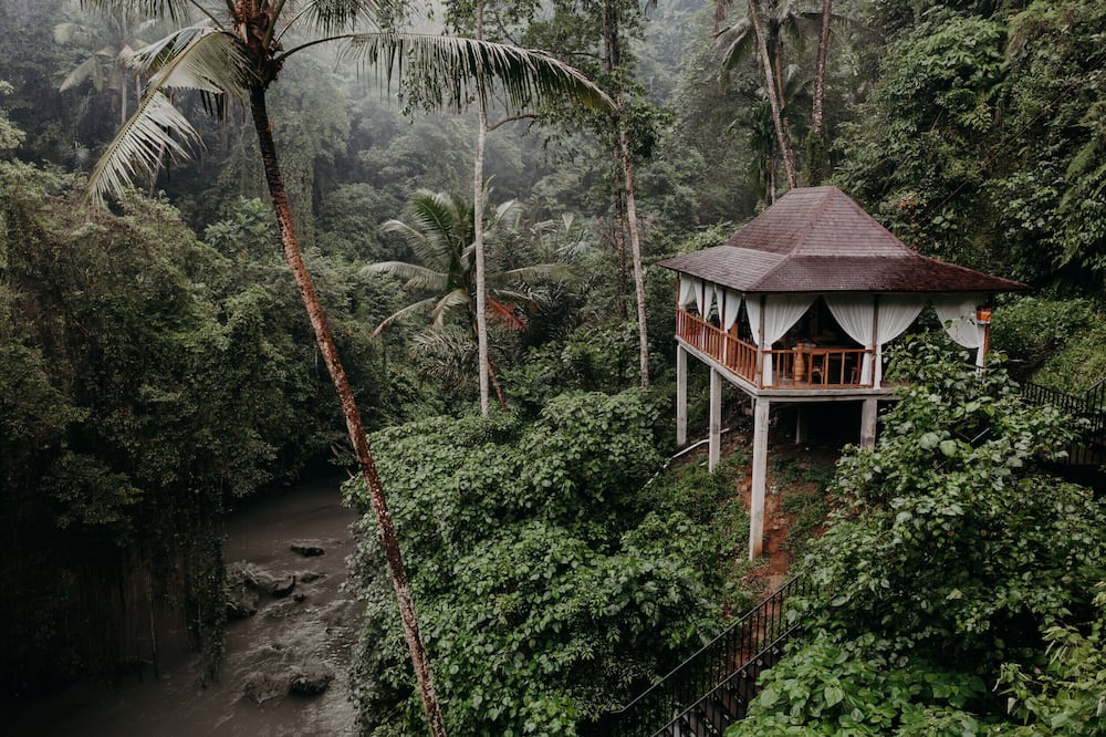 Exceptional 9BR Incredible Jungle View, River Access