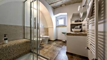 Shower, hair dryer, bidet, towels