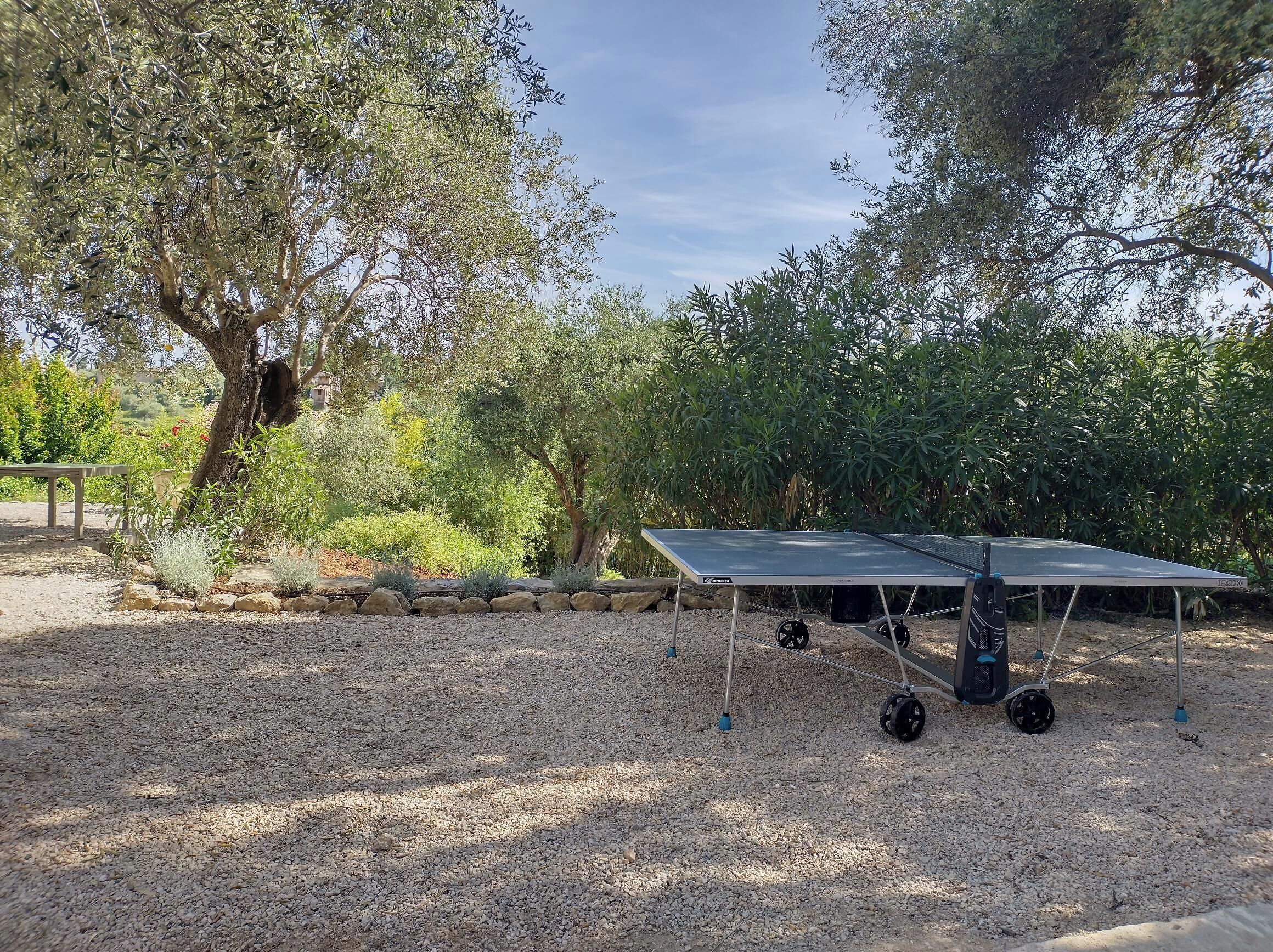 A ping pong table in an outdoor garden area with gravel ground, surrounded by various plants and trees.
