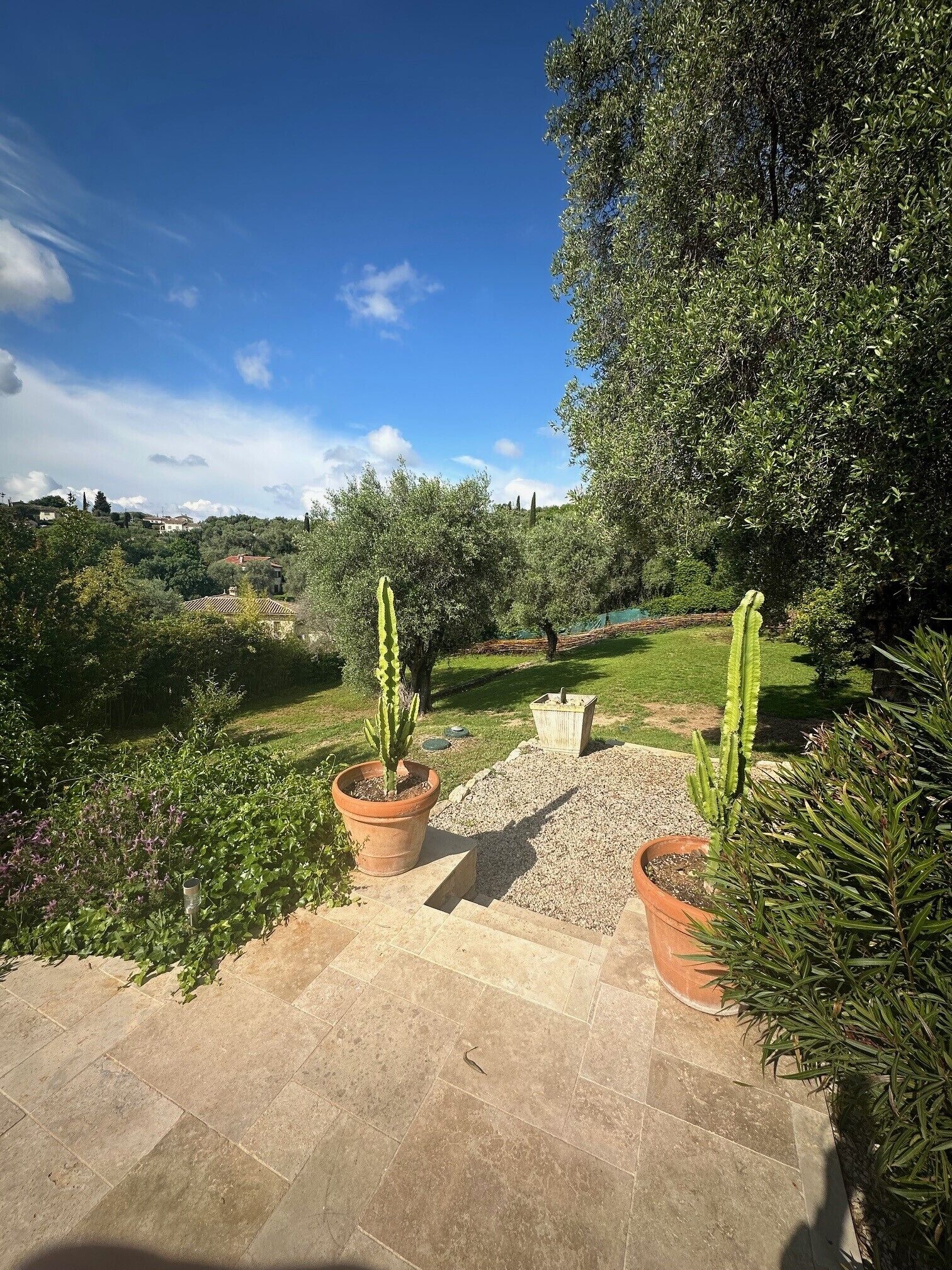Un patio jardín con cactus en macetas y un camino de grava.