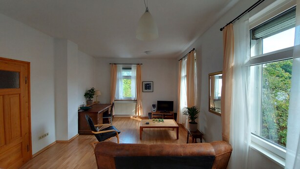 A living room with a wooden floor, a brown leather sofa, a wooden coffee table, a TV, and a potted plant. - Apartment at Levinscherpark, 3km from downtown (Göttingen)