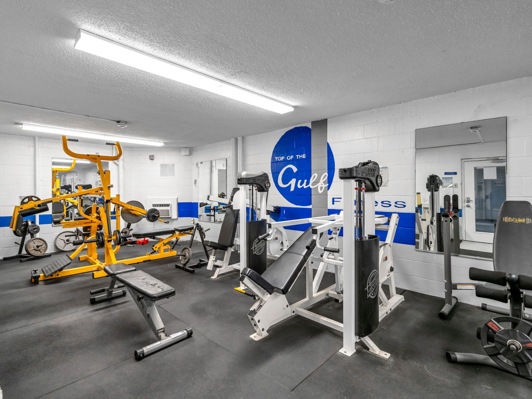 A gym with various exercise equipment, including a bench press, squat rack, and weight bench.