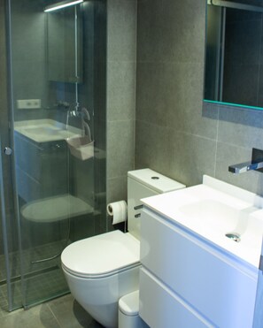 Shower, hair dryer, towels, toilet paper