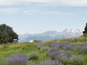 Miscellaneous - LODGE VIEUX CHAILLOL - Unusual Accommodation Furnished Tent (Théus)