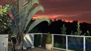 A swimming pool with a sunset view, surrounded by palm trees and a glass railing.