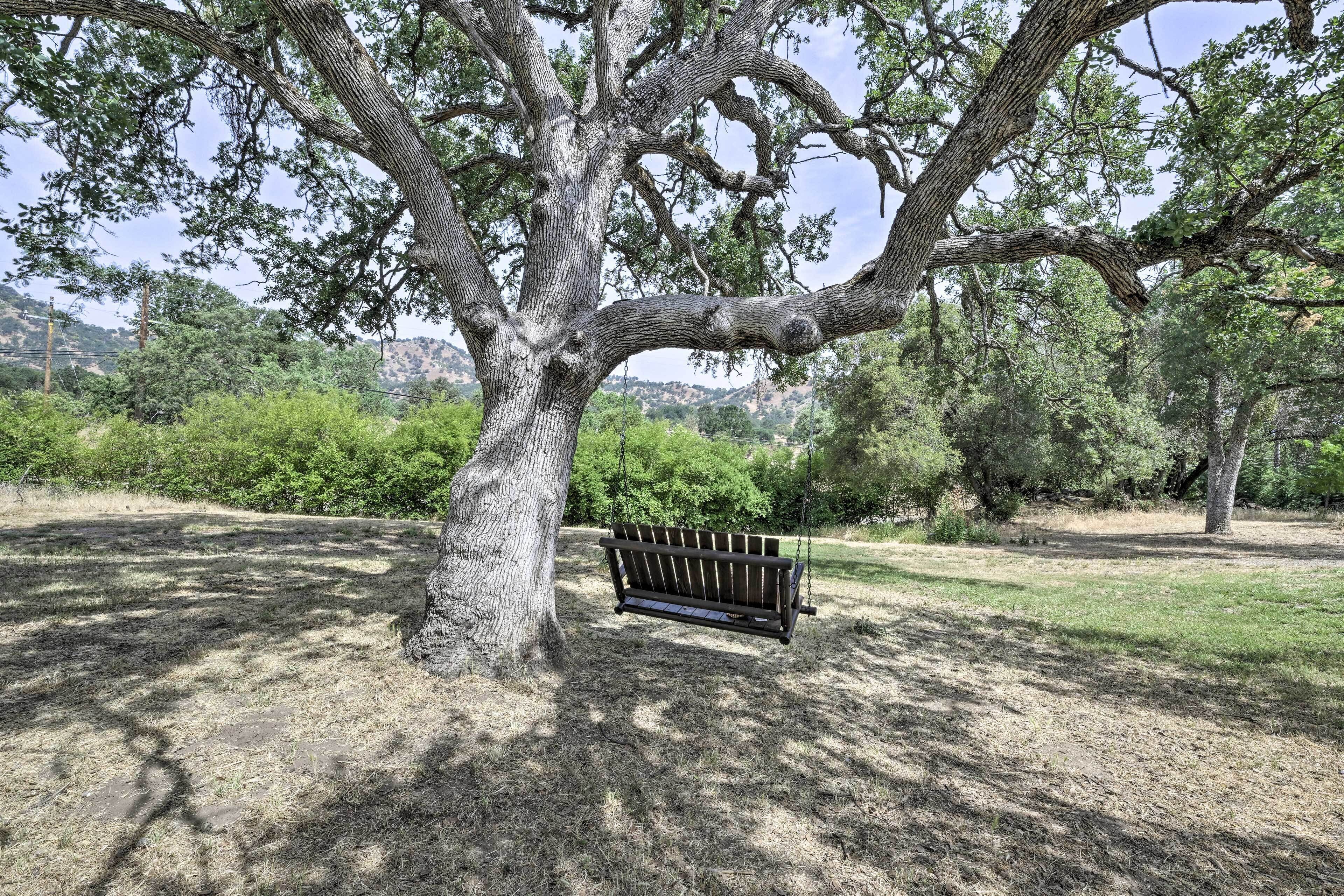 Un parc avec un grand arbre et un banc en bois.