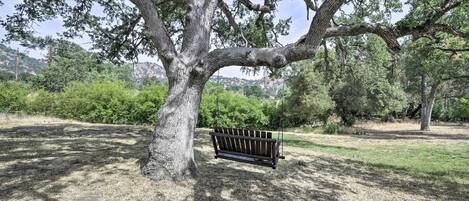 Un parc avec un grand arbre et un banc en bois.