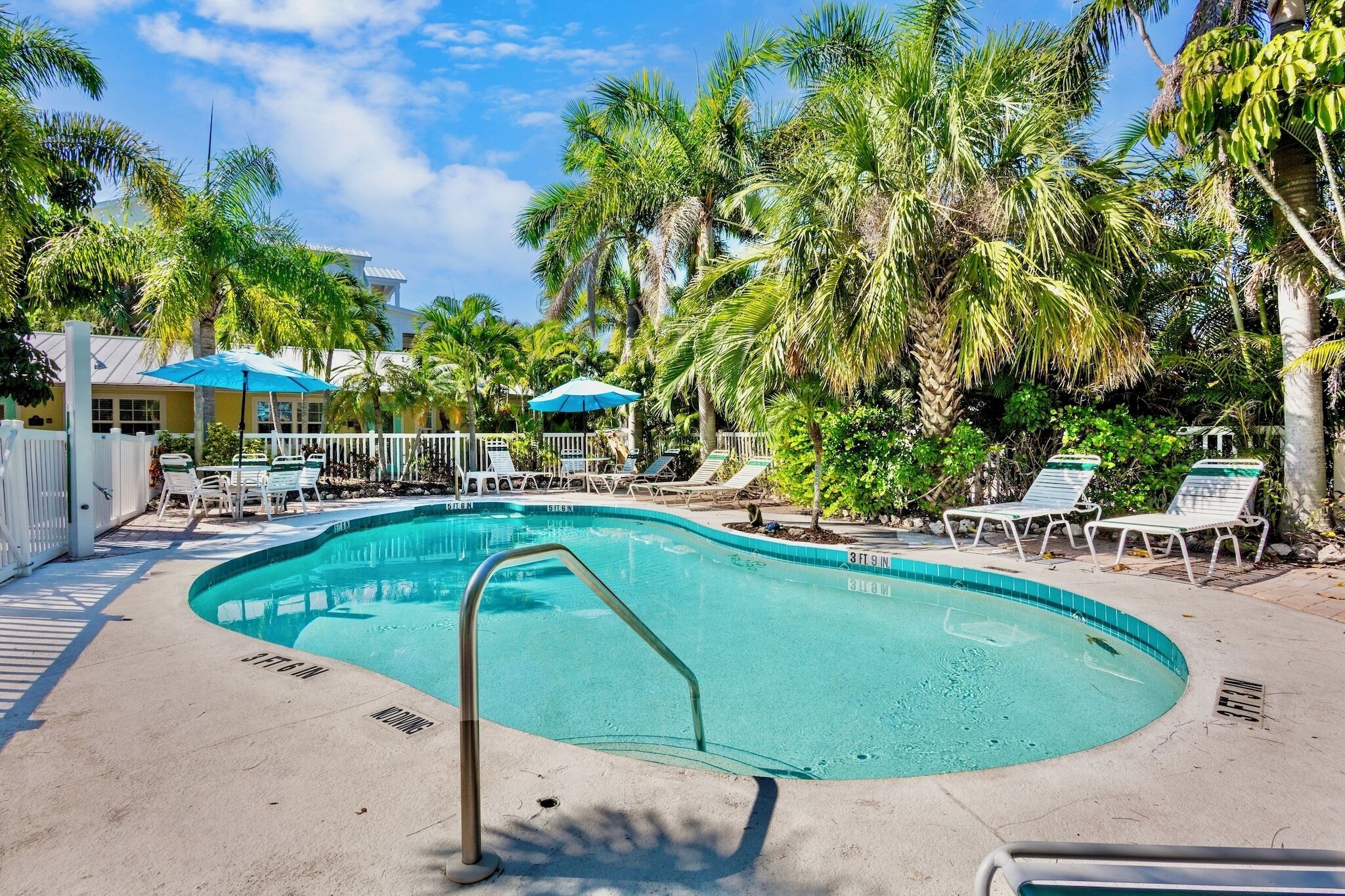 A swimming pool with lounge chairs and umbrellas, surrounded by palm trees and a white fence.