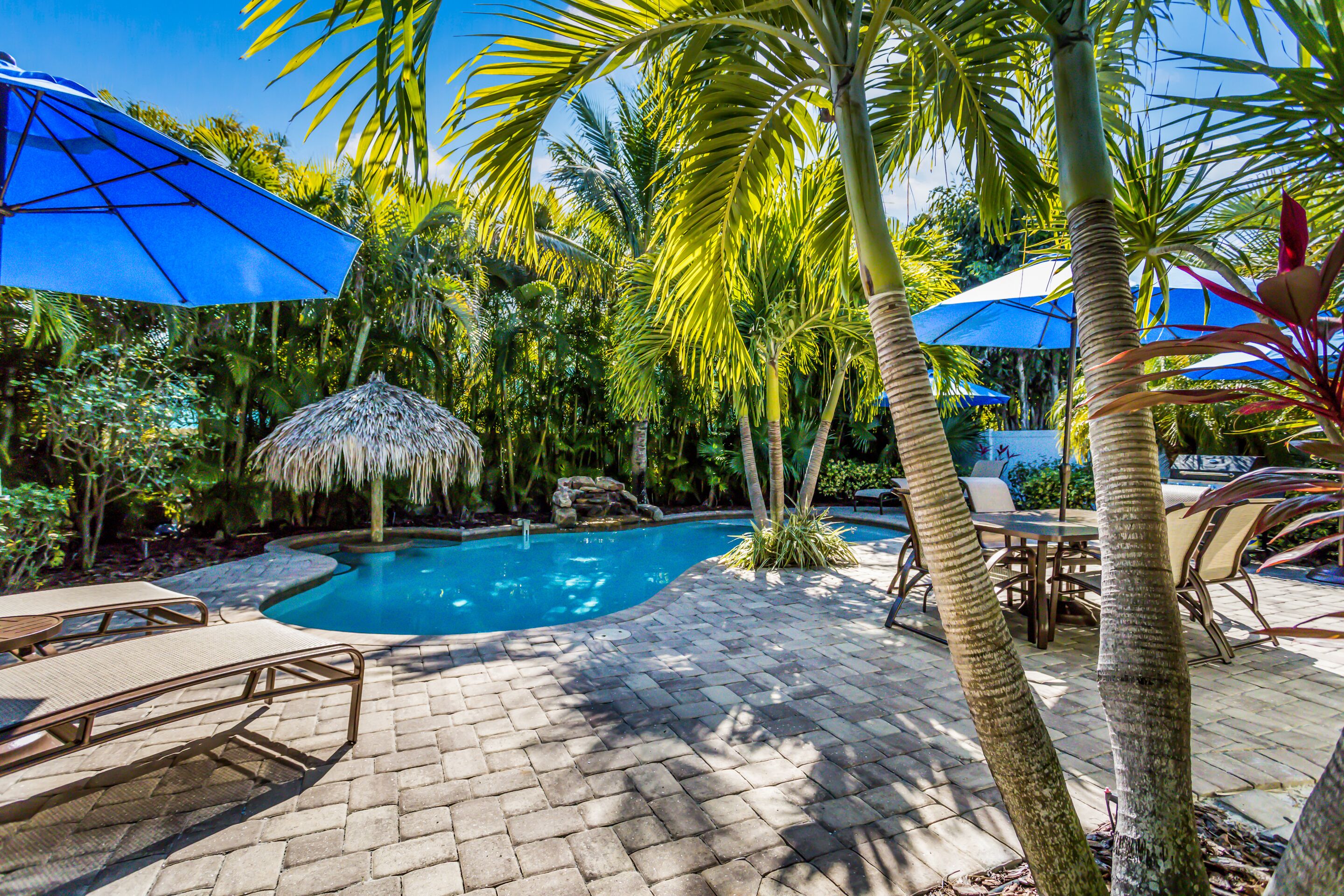 A pool area with lounge chairs, umbrellas, and palm trees.