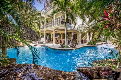 It's a Jungle Out There - Tropical Pool, Sunset Views, Game Room!