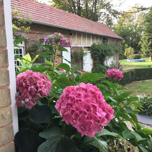 An apartment in a charming house near Lyons la Forêt.
