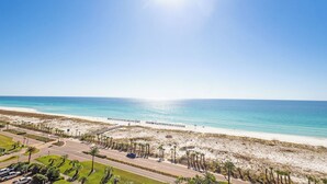 Eine Küstenstraße führt zu einem Strand mit Palmen und wolkenlosem, blauem Himmel.