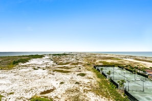 Terrain de sport