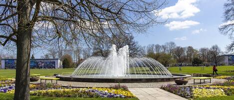 A public park with a fountain, benches, and flower beds.