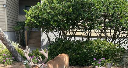 186 Beach Club Villa - Pet Friendly, Beautiful marsh views