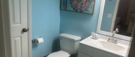 A bathroom with a toilet, sink, and a painting of a turtle on the wall.