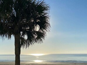 Beach nearby - Come and Enjoy Galvestons Gem 💎  (Galveston)