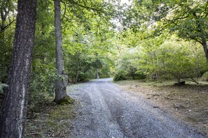 Un sendero de grava en una zona boscosa con árboles a ambos lados.