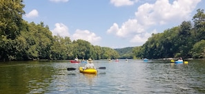 Escena de río con kayaks y gente remando.