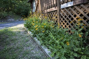 Un jardin avec des fleurs jaunes et une clôture en bois.