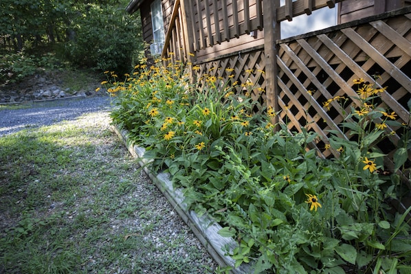 Un jardín con flores amarillas y una valla de madera.