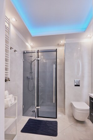Appartement Supérieur | Salle de bain | Douche, sèche-cheveux, serviettes fournies