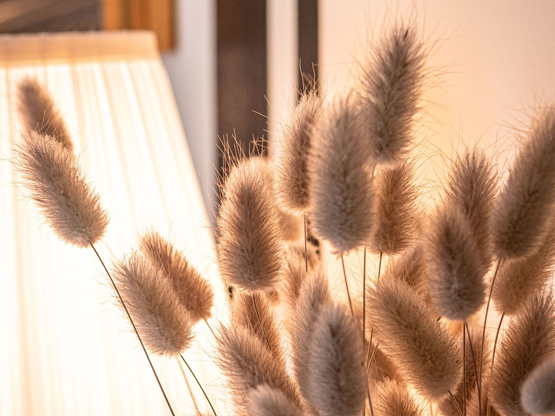 De hautes herbes touffues dans un espace intérieur bien éclairé.