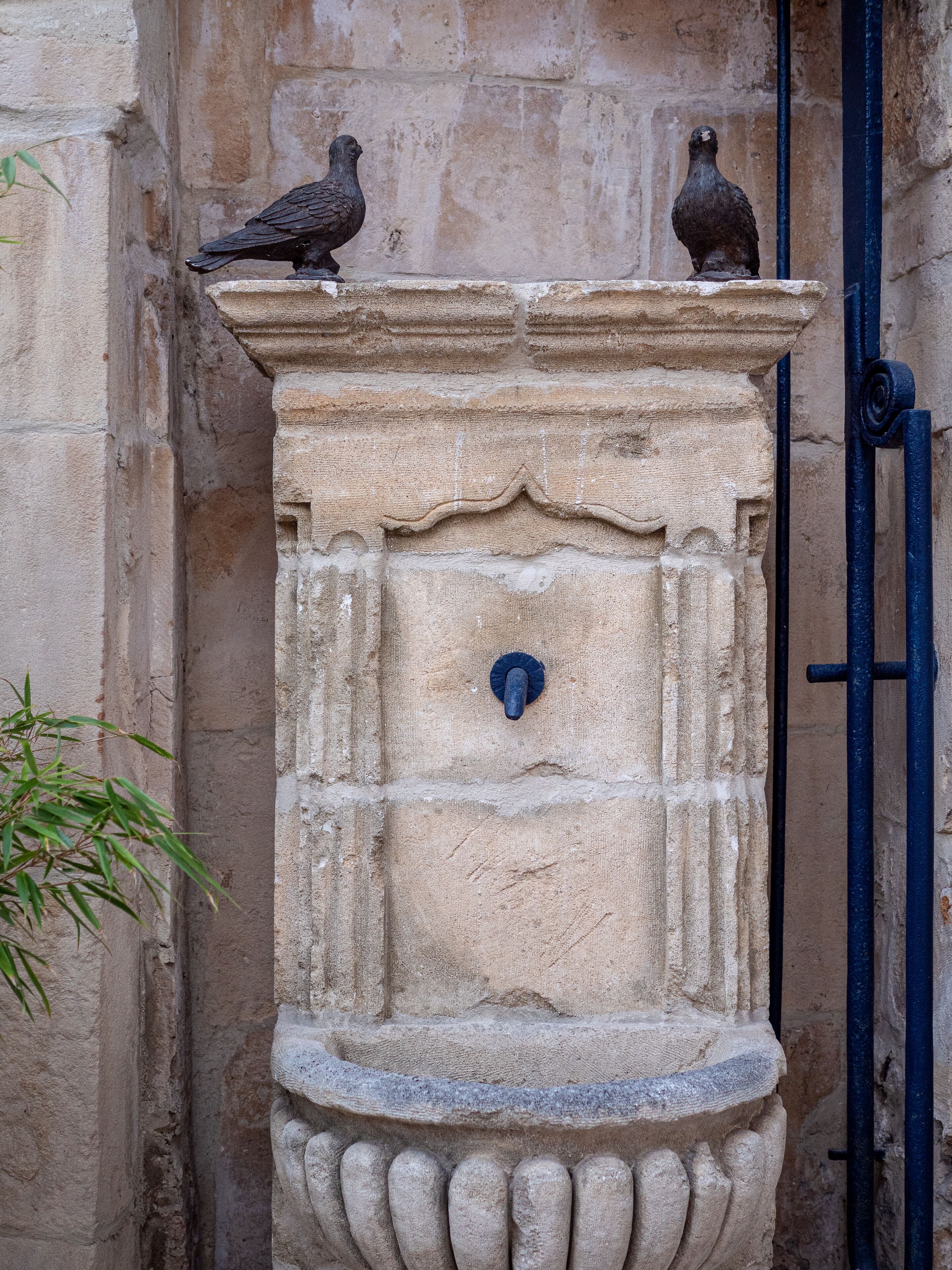 Foto - Clos Saint-Martin